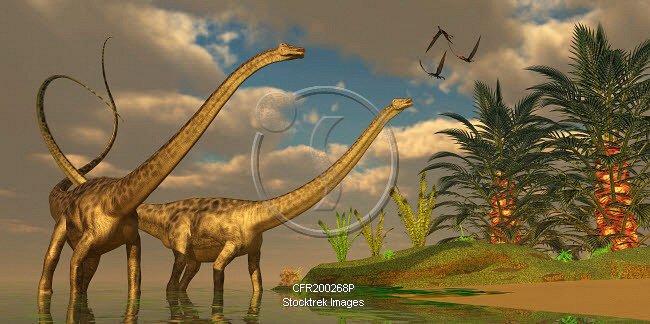 Diplodocus Dinosaurs In A Mating Ritual Stocktrek Images